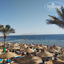 фото из отзыва ID 2099082