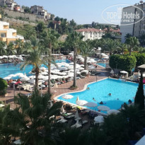 фото из отзыва ID 2099149