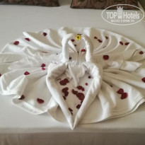 фото из отзыва ID 2099149