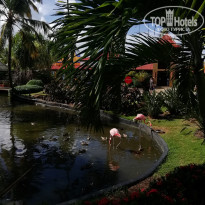 фото из отзыва ID 2097925