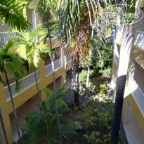 фото из отзыва ID 2097925