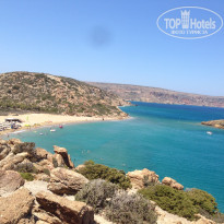 фото из отзыва ID 2099181