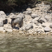 фото из отзыва ID 2099181