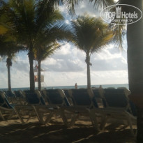 фото из отзыва ID 2099162