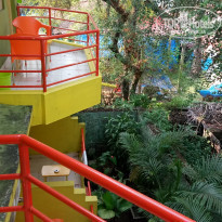 фото из отзыва ID 2099199