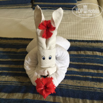 фото из отзыва ID 2099215