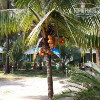 фото из отзыва ID 2099244