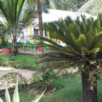 фото из отзыва ID 2099244