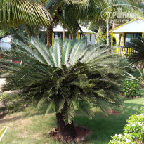 фото из отзыва ID 2099244