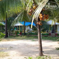 фото из отзыва ID 2099244