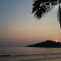 фото из отзыва ID 2099244