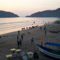 фото из отзыва ID 2099244