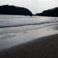 фото из отзыва ID 2099244