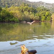 фото из отзыва ID 2099244