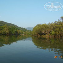 фото из отзыва ID 2099244