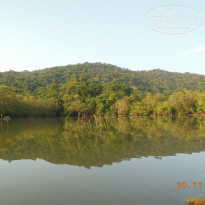 фото из отзыва ID 2099244