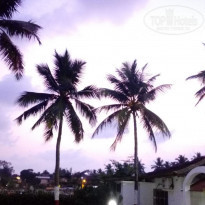 фото из отзыва ID 2099446