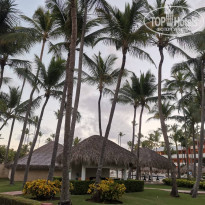 фото из отзыва ID 2099462