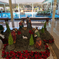 фото из отзыва ID 2099462