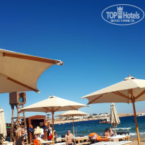 фото из отзыва ID 2099528