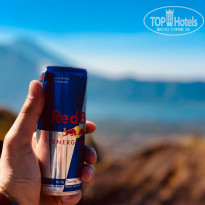 фото из отзыва ID 2099553