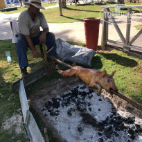 фото из отзыва ID 2099565