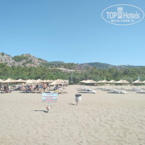 фото из отзыва ID 2099827