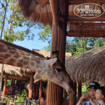 фото из отзыва ID 2099819