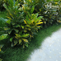 фото из отзыва ID 2099869