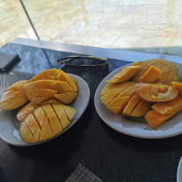 фото из отзыва ID 2099880