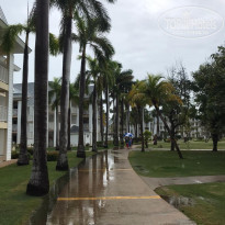 фото из отзыва ID 2099503