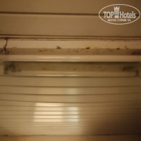 фото из отзыва ID 2099912