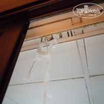 фото из отзыва ID 2099912