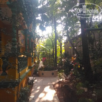 фото из отзыва ID 2099941