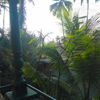 фото из отзыва ID 2099941