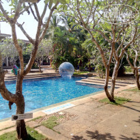 фото из отзыва ID 2099975