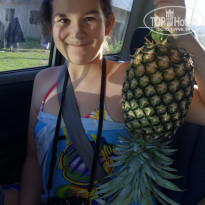 фото из отзыва ID 2099996