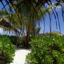 фото из отзыва ID 2099996