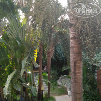 фото из отзыва ID 2099599