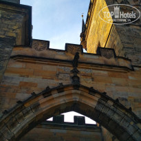 фото из отзыва ID 2095950