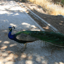 фото из отзыва ID 2099932