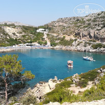 фото из отзыва ID 2099932