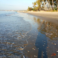 фото из отзыва ID 2099796