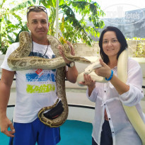 фото из отзыва ID 2099796