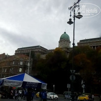 фото из отзыва ID 2091980