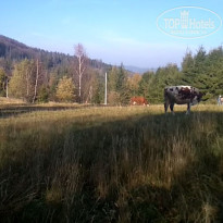 фото из отзыва ID 2096223