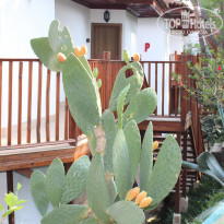 фото из отзыва ID 2090138