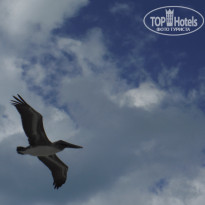 фото из отзыва ID 2092241