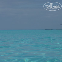 фото из отзыва ID 2092241