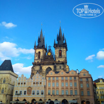 фото из отзыва ID 2095950